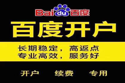 百度竞价托管运营在电商行业的成功应用